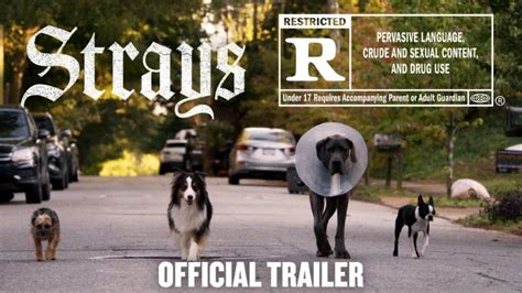 gofilm the strays|Watch The Strays .